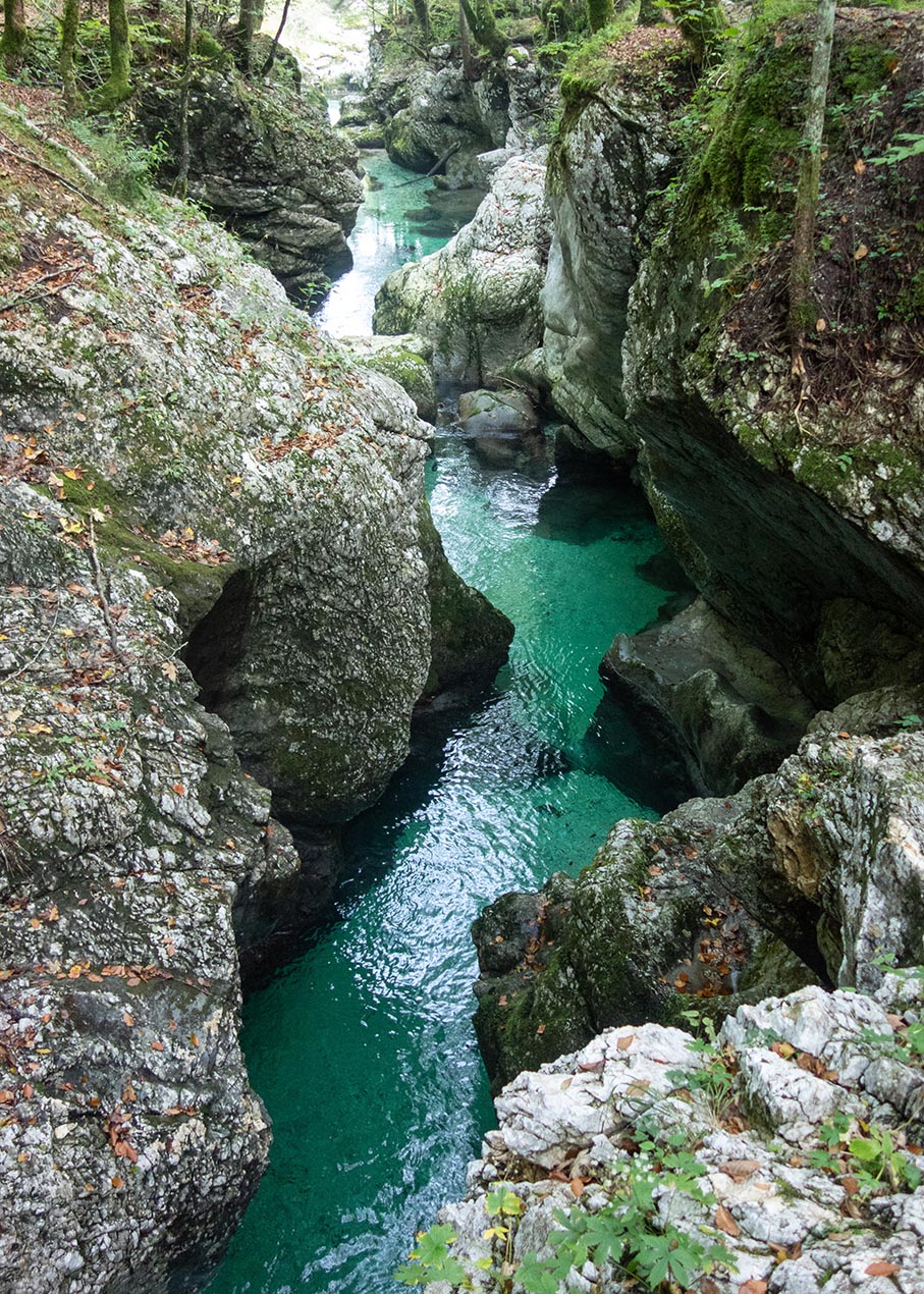 Mostnica