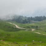 Velika Planina