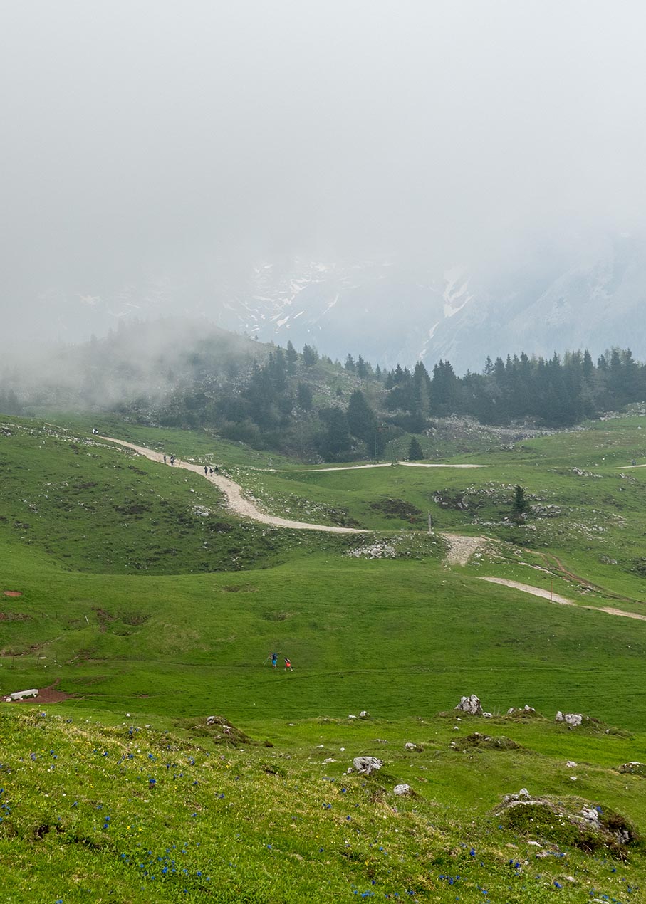 Velika Planina