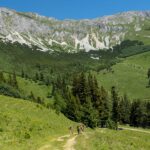 Hohe Veitsch