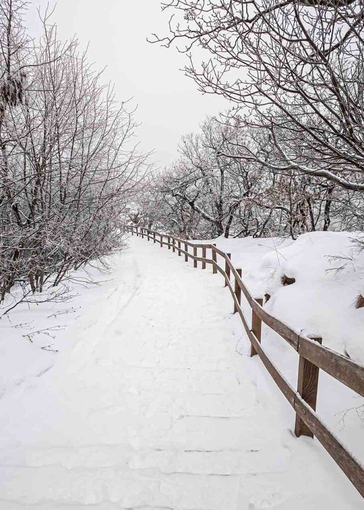 Normafa - Tündér-hegy