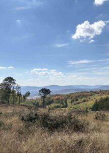 Asztal-kő – Nyerges-hegy körtúra túra képe