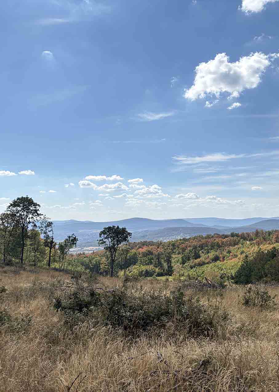 Asztal-kő – Nyerges-hegy körtúra