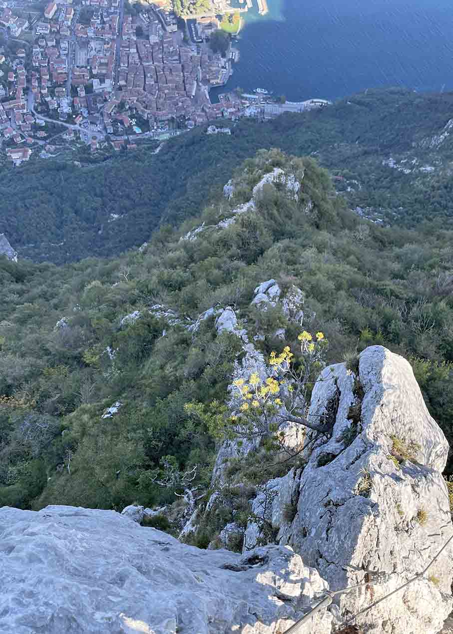 Dell’Amicizia – Cima SAT – Via ferrata