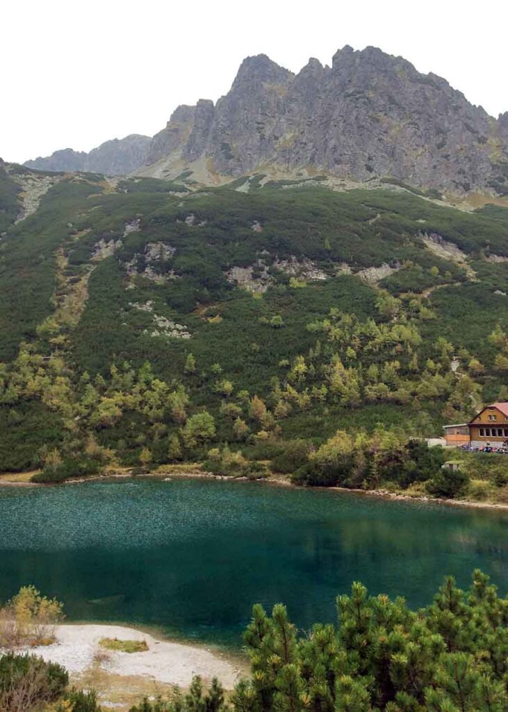 Nagy-Morgás – Zöld-tavi menedékház