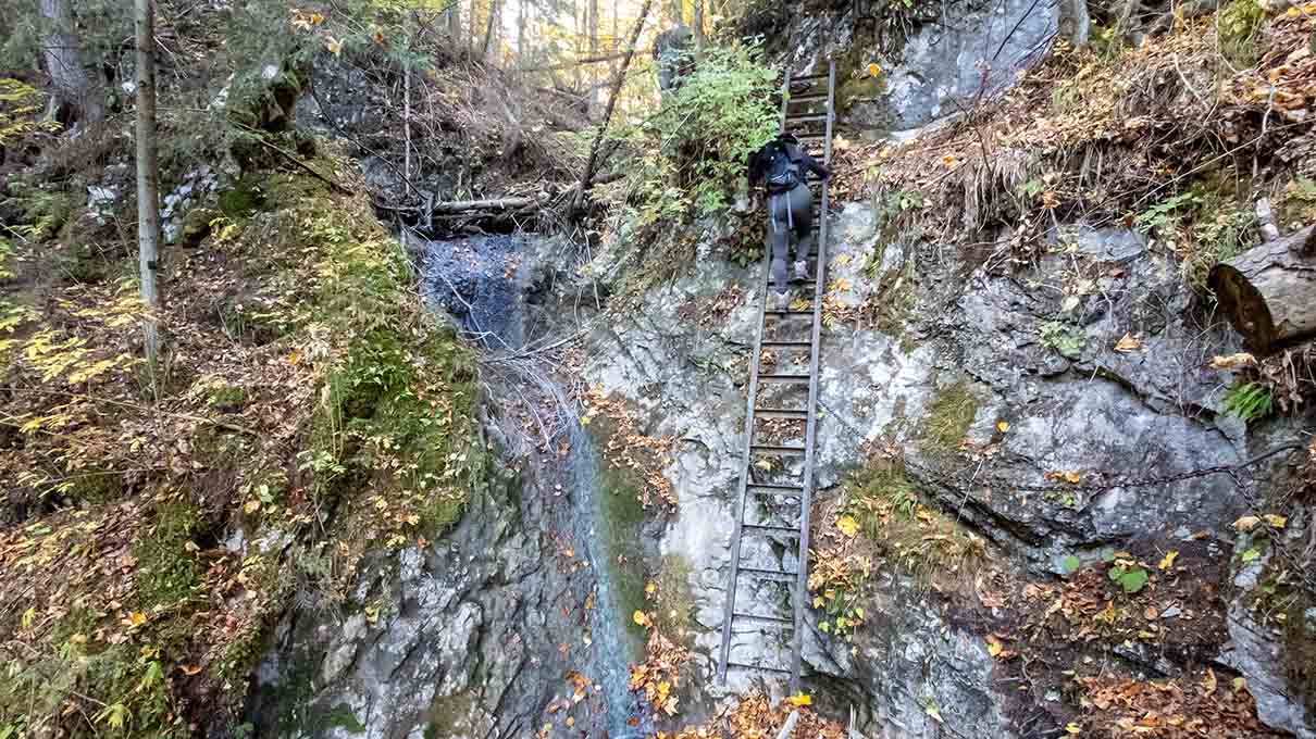 Sokolia dolina (Sólyom-völgy) szurdok – Szlovák Paradicsom program
